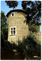 CPSM 10.5 X 15  Isère TULLINS  La Tour Des Dauphins     Donjon Du Château Féodal - Tullins
