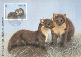 IRELAND - MCC 1991 WWF - PINE MARTEN  /4403 - Maximum Cards