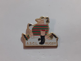 Pins Rugby A.S.C.L - Rugby