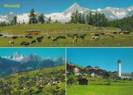 Bürchen / Törbel - Moosalp  (3 Bilder Mit Postauto)       Ca. 1980 - Bürchen