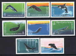 Turks & Caicos Islands 1983 Whales Set MNH (SG 745-752) - Turks And Caicos
