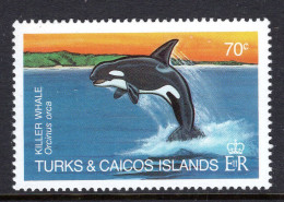 Turks & Caicos Islands 1983 Whales - 70c Killer Whale MNH (SG 747) - Turks And Caicos