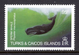 Turks & Caicos Islands 1983 Whales - 95c Sperm Whale MNH (SG 748) - Turks And Caicos