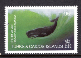 Turks & Caicos Islands 1983 Whales - 95c Sperm Whale MNH (SG 748) - Turks And Caicos