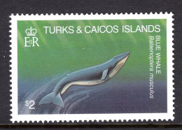 Turks & Caicos Islands 1983 Whales - $2 Blue Whale MNH (SG 749) - Turks And Caicos