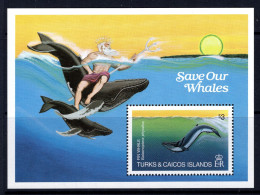 Turks & Caicos Islands 1983 Whales MS MNH (SG MS753) - Turks And Caicos
