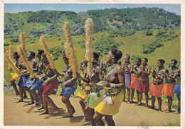 N°105 NATAL VALLEY Hills, Gay Zulu Girls Performing A Traditional Dance. - Afrique Du Sud