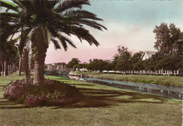 EGYPT - Ismailia - Gardens - Ismaïlia