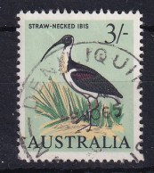 Australia: 1964/65   Pictorial - Bird   SG369   3/-    Used - Oblitérés
