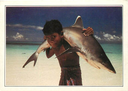 Maldives - White-tipped Shork Camed By A Young Child - Les Eaux Transparentes De L'Océan Indien Sont, Aux Maldives, Caos - Maldives
