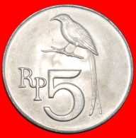 * BIRD DRONGO: INDONESIA  5 RUPIAH 1970 UNC MINT LUSTRE!· LOW START ·  NO RESERVE! - Indonesië