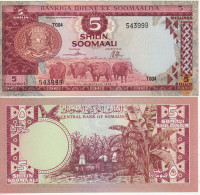 Somalia  5 Shilin Soomali  P21  Dated 1978    "  Water Buffalos  +  Banana Plantation At  Back"  UNC - Somalië