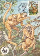 BRAZIL - MC WWF 1984 - MONKEY / 4432 - Tarjetas – Máxima