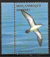 Mozambique - MNH ** 2002 :   Audubon's Shearwater  -  Puffinus Lherminieri - Albatro & Uccelli Marini