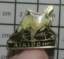 617 Pin's Pins / Beau Et Rare / SPORTS / JUDO KARATE AIKIDO - Judo