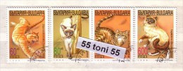 1998 CATS 4v.- Used/oblitere (O) BULGARIA / Bulgarie - Gebraucht