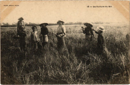 PC VIETNAM INDOCHINA LA CULTURE DU RIZ (a52787) - Vietnam