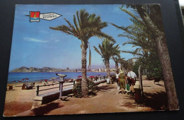 Recuerdo De Benidorm - Pasco Y Playa Poniente - Ed. Pergamino - Postales Javier, Valencia - # 3.246 - Alicante