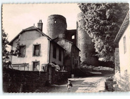 CROCQ : Les Antiques Ruines Du Château Féodal (XIIème Siècle) - état - Crocq
