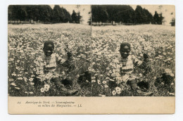 Amérique Du Nord Scène Enfantines Petite Fille Noire Milieu Des Marguerites. - América