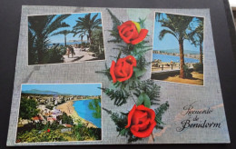 Recuerdo De Benidorm - Foto Rueck - Propaganda - Postales - Folletos - # 132 - Alicante