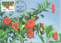 Carte Maximum - Taiwan - Formose - Flowers - Fleurs - Rose Mallow - Hibiscus Rosa-sinensis - Tarjetas – Máxima