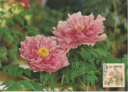 Carte Maximum - Taiwan - Formose - Flowers - Fleurs - Paeonia Suffruticosa - Cartoline Maximum