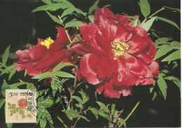 Carte Maximum - Taiwan - Formose - Flowers - Fleurs - Paeonia Suffruticosa - Cartes-maximum