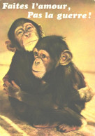 Hugging Monkeys, Chimpanzees - Singes