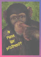 Looking Chimpanzee, Monkey, Ape - Singes
