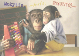 Clothed Monkeys With Abacus In School, Chimpanzee, Apes - Singes