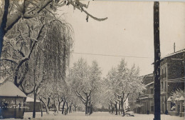 SEO DE URGEL / SEU D'URGELL , PASEO DE TETUAN , T.P. NO CIRCULADA - Lérida