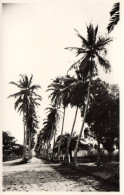 Cameroun - Douala - Carte Photo - Une Rue De La Ville - Cameroun