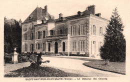 Saint Sauveur En Puisaye - Le Château Des Gouttes - Saint Sauveur En Puisaye