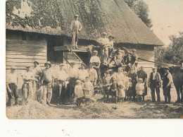 AY 263 -  CARTE PHOTO  AGRICULTURE  NON SITUEE  - Tracteurs