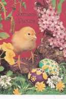 Joyeuses Pâques--1979---Poussin , Oeufs Et Fleurs - Easter