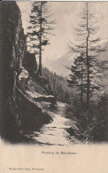 AK Waldweg Bei Göschenen - 1906 (67032) - Göschenen