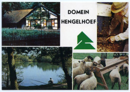 BELGIQUE : HOUTHALEN - DOMEIN HENGELHOEF (10 X 15cms Approx.) - Houthalen-Helchteren
