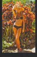 BRIGITTE BARDOT POSTCARD 2 - Femmes Célèbres