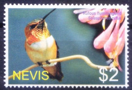 Nevis 2005 MNH, Rufous Hummingbird (Selasphorus Rufus), Birds - Segler & Kolibris