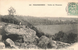 FRANCE - Malesherbes - Vue Sur La Vallée De L'Essonne - Carte Postale Ancienne - Malesherbes