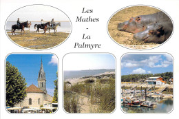 17 - Les Mathes - La Palmyre - Multivues - Les Mathes