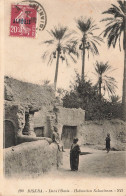 ALGÉRIE - Biskra - Dans L'oasis - Habitation Saharienne - Carte Postale Ancienne - Biskra