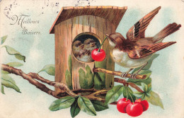 ANIMAUX - Oiseaux - Meilleurs Baisers - Cerises - Nichoir - Carte Postale Ancienne - Pájaros