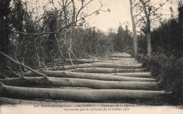 FRANCE - Bazouges Sur Le Loir - La Barbée - Platanes De La Grande Allée - Carte Postale Ancienne - Other & Unclassified