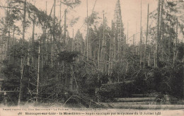 FRANCE - Bazouges Sur Le Loir - La Masellière - Sapin Saccages Par Le Cyclone 1923 - Carte Postale Ancienne - Otros & Sin Clasificación