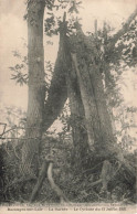 FRANCE - Bazouges Sur Le Loir - La Barbée - Le Cyclone Du 13 Juillet 1923 - Carte Postale Ancienne - Altri & Non Classificati