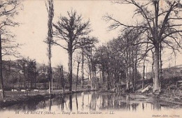 LE RONZY                          ETANG AU HAMEAU GAUTHIER - Thizy