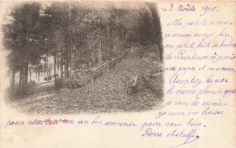 FRANCE - Bourbonne Les Bains - Une Allée Du Parc - Carte Postale Ancienne - Bourbonne Les Bains