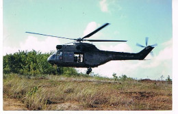 HELICOPTERE MILITAIRE  CARTE PHOTO - Helicopters